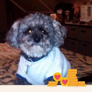 Meet your Posher, Michele